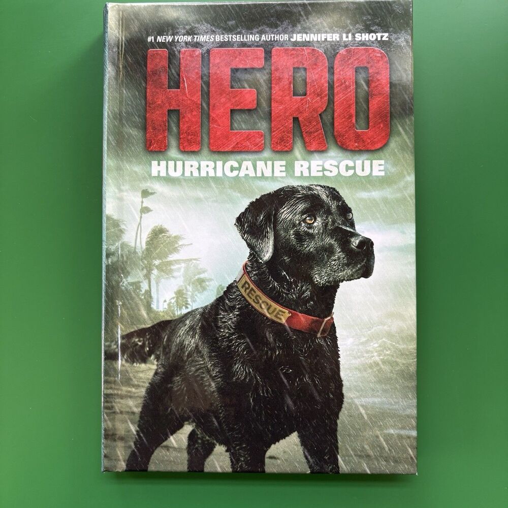 Hero: Hurricane Rescue Hardcover 2017 Jennifer Li Shotz Hero Ser. HarperCollins